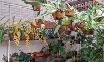 Imagem 5: Casa Térrea no Centro de Indaiatuba-SP: 2 Quartos, 1 Sala, 2 Banheiros, 110m² de Área. Ide