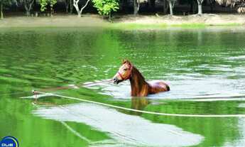 Imagem: TERRENO A VENDA NO HARAS LARISSA COM 2.898