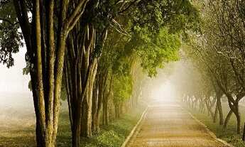 Imagem 4: TERRENO A VENDA NO HARAS LARISSA COM 2.898 m²