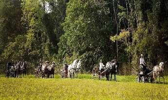 Imagem 6: TERRENO A VENDA NO HARAS LARISSA COM 2.898 m²