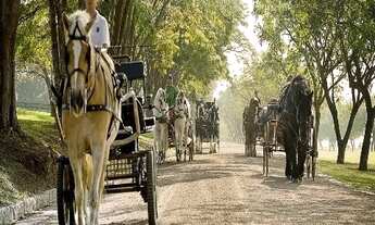 Imagem 7: TERRENO A VENDA NO HARAS LARISSA COM 2.898 m²