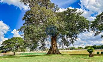 Imagem: TERRENO A VENDA RESERVA ITANHANGA