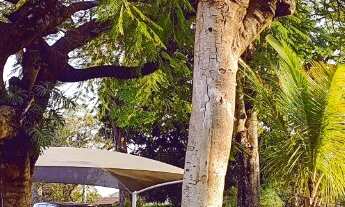 Imagem: Casa de Alto Padrão Porteira Fechada à