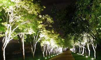 Imagem 3: LINDO TEREENO A VENDA NO HARAS LARISSA COM 3.417 M2