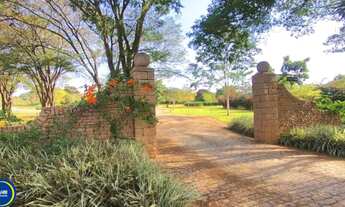 Imagem: LINDO TEREENO A VENDA NO HARAS LARISSA COM