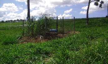 Imagem 7: SITIO EM INDAIATUBA NA VIDEIRA 35.000 m2