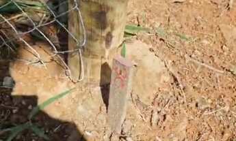 Imagem 4: TERRENO RESIDENCIAL em JABOTICATUBAS - MG, CANTO DA SERIEMA