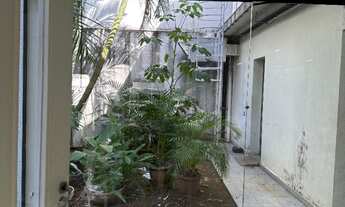 Imagem 5: CASA COMERCIAL em SÃO PAULO - SP, SANTO AMARO