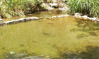 Imagem 4: AREA RURAL em DUQUE DE CAXIAS - RJ, XERÉM