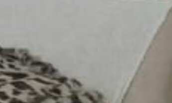 Imagem: CASA RESIDENCIAL em Cabo Frio - RJ, Jardim