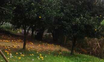 Imagem 6: CASA RESIDENCIAL em Viamão - RS, Aguas Clara