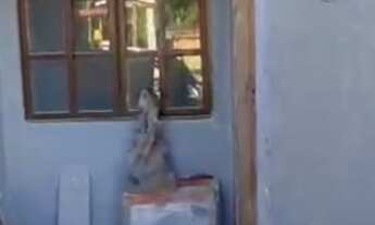 Imagem 2: CASA RESIDENCIAL em ALVORADA - RS, INTERSUL