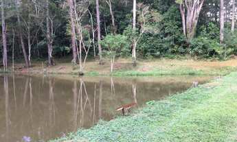 Imagem 5: Sitio rico em água, ideal para criação de animais, com aproximadamente 2,5 alqueires em pa