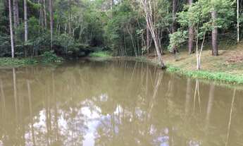 Imagem 4: Sitio rico em água, ideal para criação de animais, com aproximadamente 2,5 alqueires em pa