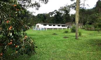 Imagem 3: Sitio rico em água, ideal para criação de animais, com aproximadamente 2,5 alqueires em pa