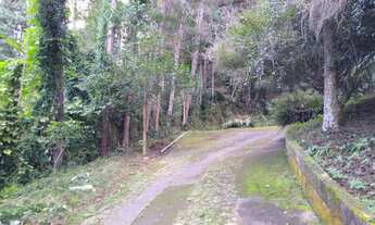 Imagem 5: Sítio com ótima vizinhança à venda em Juquitiba