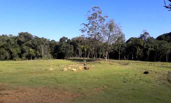 Imagem 3: Sitio completo, ótimo acesso e localização, ideal para criação de animais à venda em Juqui