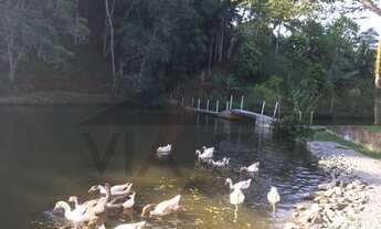 Imagem 4: Sítio em Juquitiba; Sítio à venda em Juquitiba/SP