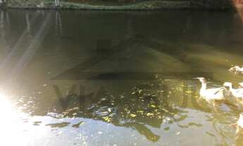 Imagem 7: Sítio em Juquitiba; Sítio à venda em Juquitiba/SP