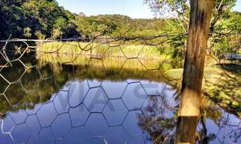Imagem 3: Chácara à venda em Juquitiba / SP com boa topografia e bem localizada