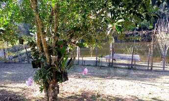 Imagem 4: Chácara à venda em Juquitiba / SP com boa topografia e bem localizada