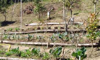 Imagem 4: Chácara modesta com boa localização à venda em São Lourenço da Serra / SP