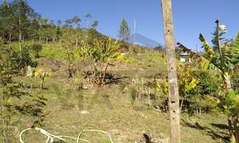 Imagem 5: Chácara modesta com boa localização à venda em São Lourenço da Serra / SP