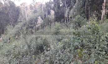 Imagem: Terreno com boa topografia e localização