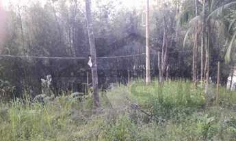 Imagem 5: Terreno com boa topografia e localização à 800 metros do centro de Juquitiba /SP