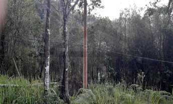 Imagem 6: Terreno com boa topografia e localização à 800 metros do centro de Juquitiba /SP