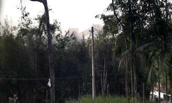 Imagem 4: Terreno com boa topografia e localização à 800 metros do centro de Juquitiba /SP