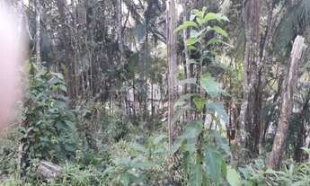 Imagem 2: Terreno com boa topografia e localização à 800 metros do centro de Juquitiba /SP