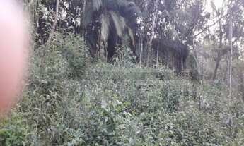 Imagem 3: Terreno com boa topografia e localização à 800 metros do centro de Juquitiba /SP