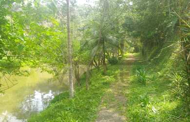 Imagem 7: Lindo Sítio à venda em São Lourenço da Serra-SP