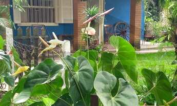 Imagem 4: Chácara à venda em Miracatu- SP