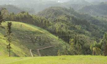 Imagem 2: Sítio à venda em Juquitiba - SP