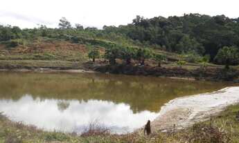 Imagem: 484.000 m² ou 20 alqueires Paulista) Fazenda