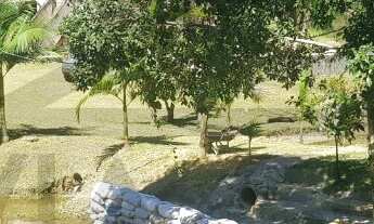 Imagem 6: Aconchegante Chácara à venda em Juquitiba/SP, contendo casa sede estilo sobrado, área de f