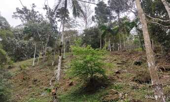 Imagem 3: Chácara à venda em Juquitiba/SP, com excelente localização próximo ao centro da cidade!!