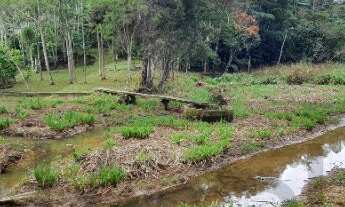 Imagem 5: Chácara à venda em Juquitiba/SP, bem localizado