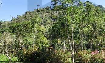 Imagem 5: Terreno com 4.500m² de área desmatada e plana para construção, 05 lagos com água corrente