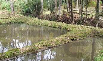Imagem 4: Terreno com 4.500m² de área desmatada e plana para construção, 05 lagos com água corrente