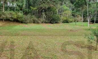 Imagem 3: Terreno com 4.500m² de área desmatada e plana para construção, 05 lagos com água corrente