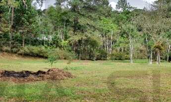 Imagem: Terreno com 4.500m² de área desmatada