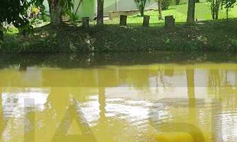 Imagem: Aconchegante chácara à venda em Juquitiba/SP