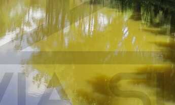 Imagem 2: Aconchegante chácara à venda em Juquitiba/SP, rica em água e com ótima topografia