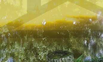 Imagem 3: Aconchegante chácara à venda em Juquitiba/SP, rica em água e com ótima topografia