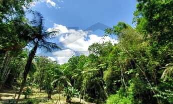Imagem 2: Sítio à venda em Juquitiba/SP, com linda vista e cachoeiras dentro da propriedade