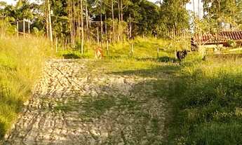 Imagem 2: 25.000 m²) Terreno à venda em Juquitiba/SP, com ótima localização, frente para o asfalto