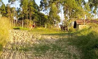 Imagem 3: 25.000 m²) Terreno à venda em Juquitiba/SP, com ótima localização, frente para o asfalto